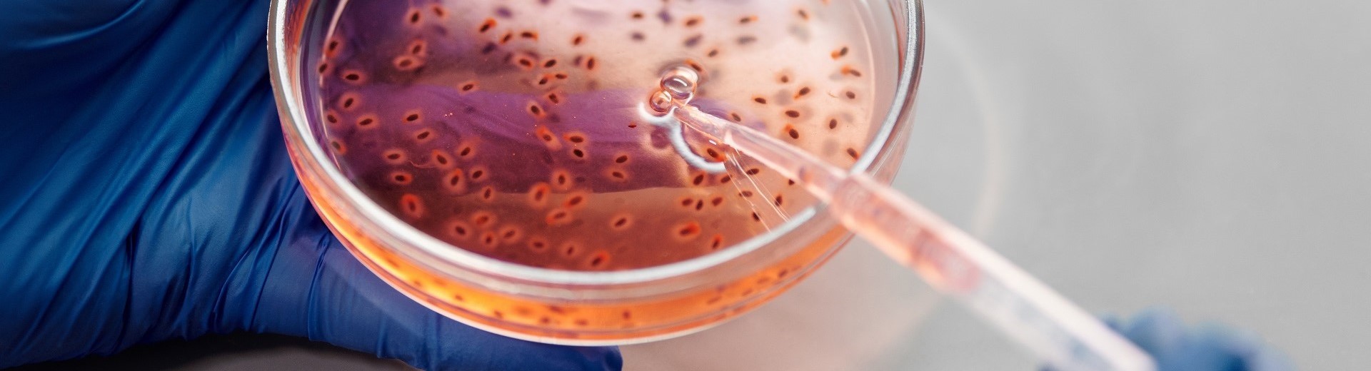 fleexly front page image