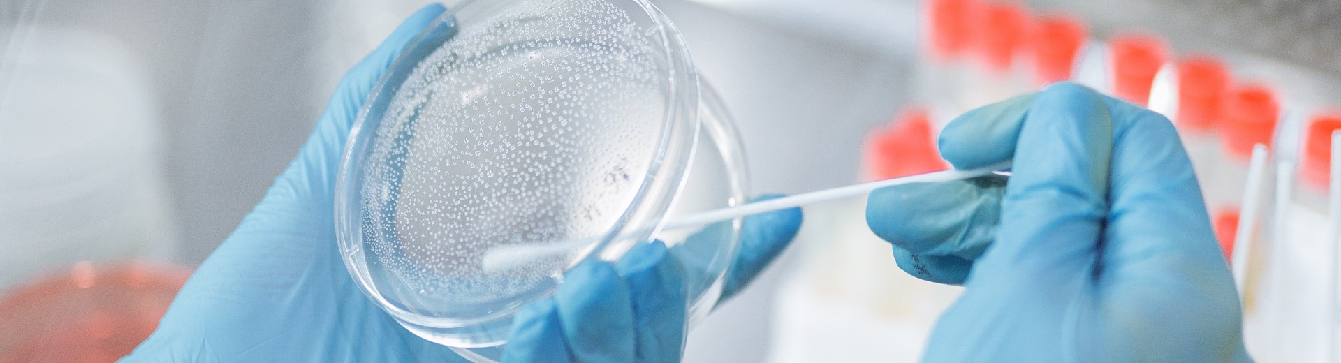 fleexly front page image